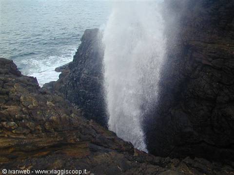 il Blow Hole, soffione dell'oceano