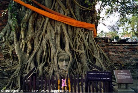 Wat Maha That Ayutthaya