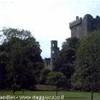 Blarney Castle IRLANDA 