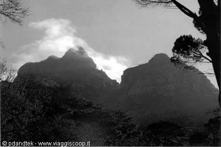 Table Mountain