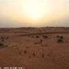 Deserto Dubai EMIRATI ARABI UNITI 