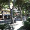 viale ceccarini ITALIA 