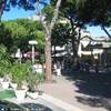 viale ceccarini ITALIA 