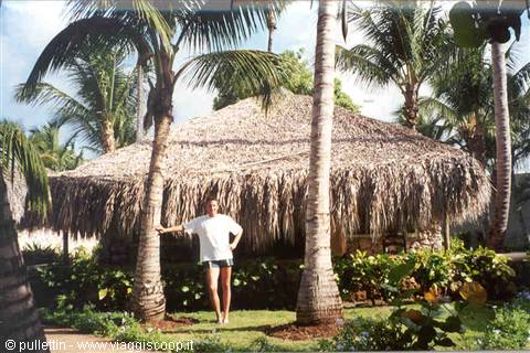 Bungalow