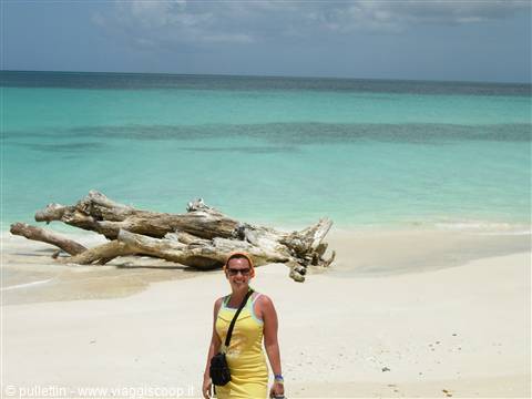 Ffreyes Beach