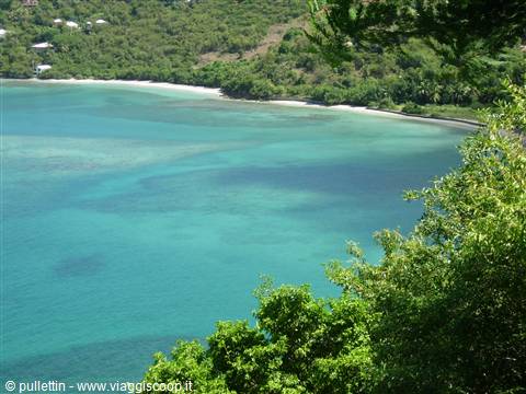 Tortola
