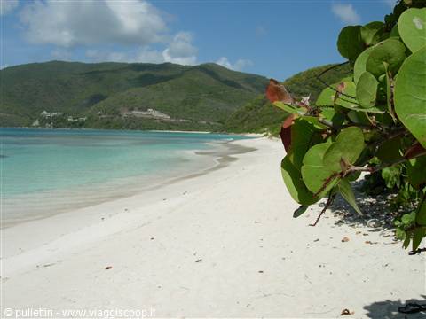 Virgin Gorda - Savannah Bay