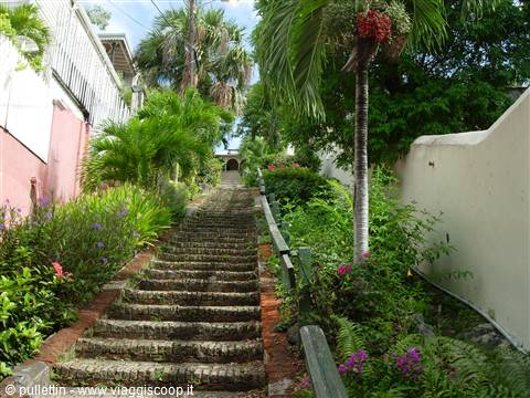 99 steps !