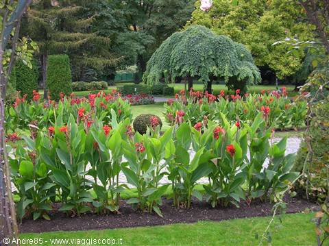 splendido giardino