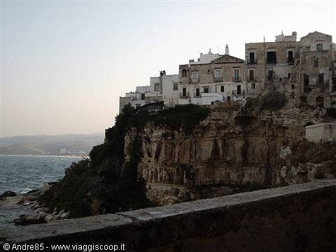 vieste