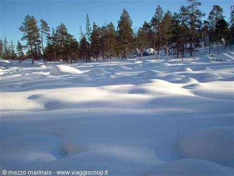 bianco