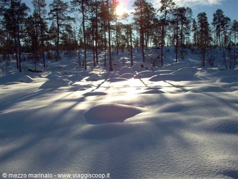 controluce