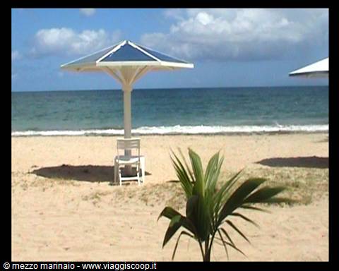 caraibi