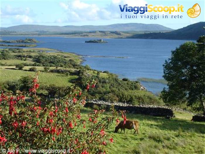 Connemara