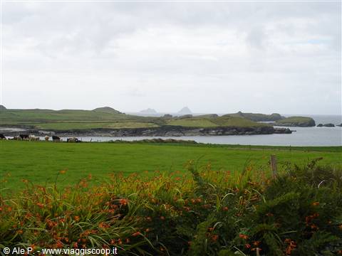 Kerry