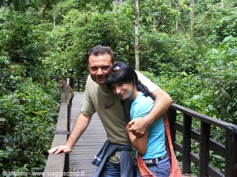 IO E GIUSY AL SEPILOK ORANG UTAN CENTRE