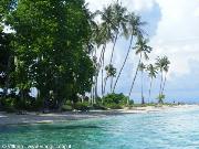Isola di Sabuan Borneo