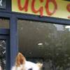 IN ONORE DI UGO FRANCIA 