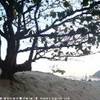  BRASILE 