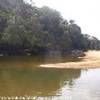  BRASILE 
