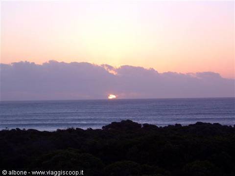 4.19 - Gansbaai