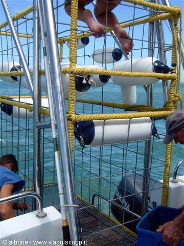 5.2 - Gansbaai  - Dyer Island
