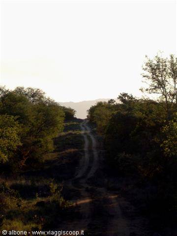 9.12 - Karongwe Game Reserve.jpg