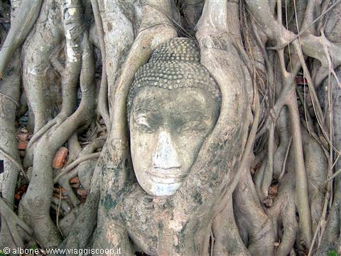 Ayuthaya - Parco Storico - Wat Phra Mahathat