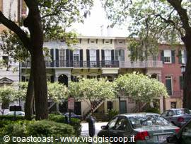 Savannah
