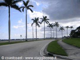 Palm Beach