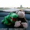 NOI IN VIAGGIO STATI UNITI D'AMERICA 
