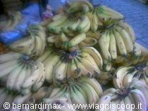 Le bananite