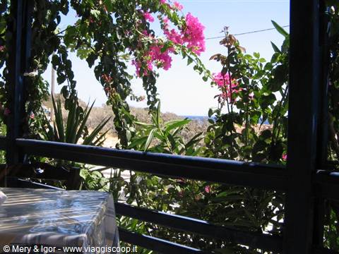 Taverna Calypso