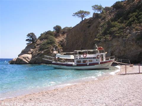 Apella