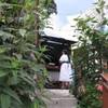 Il forno a legna della taverna 