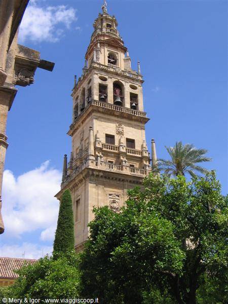 Cordoba - il Cabildo