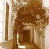 Cordoba SPAGNA 