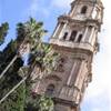 Malaga - La 'Manquita' SPAGNA 