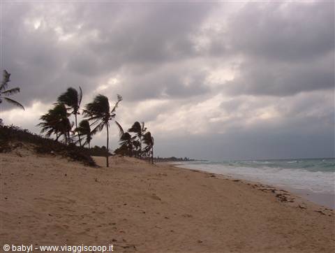 Playa de l'Este