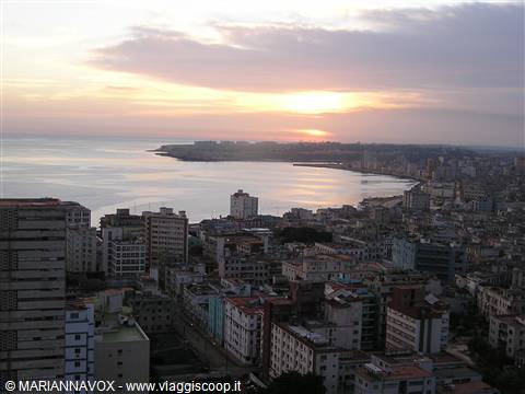 L'HAVANA