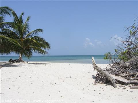 CAYO MACHO