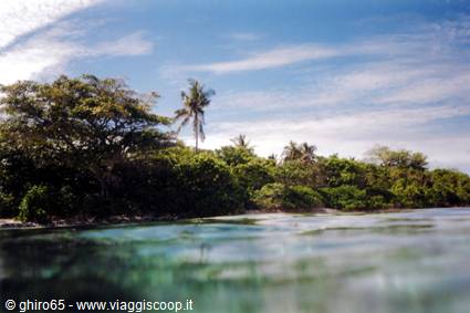 A fior d'acqua