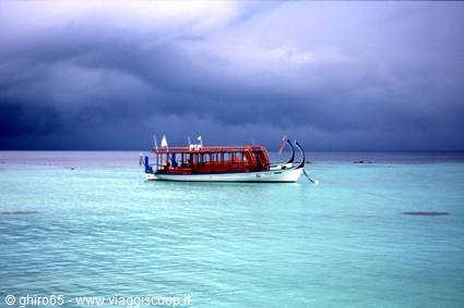 Dhoni