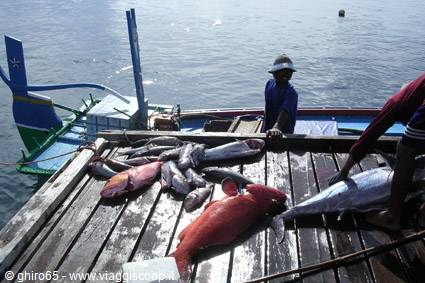 Pescatori al rientro