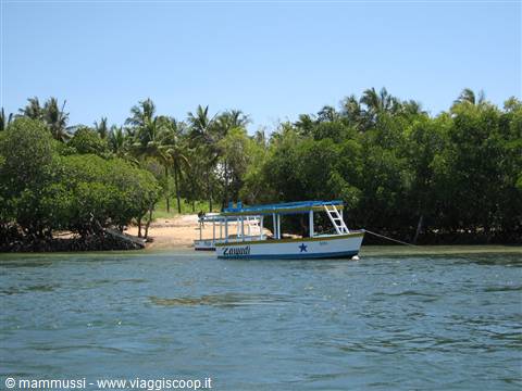 Mida Creek