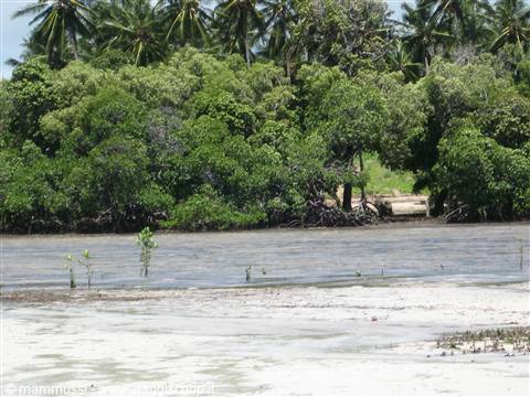 MIda Creek