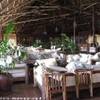 Zanzibar - Dongwe Village - Parte della hall TANZANIA 