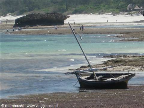 Watamu - Bassa Marea