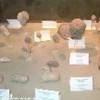 Museo della ceramica  ITALIA 