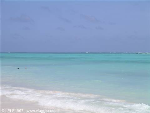 i mar dei caraibi!!!l